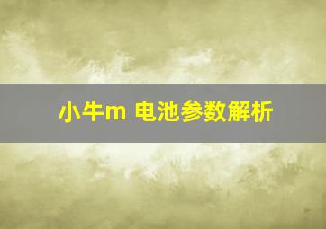 小牛m 电池参数解析